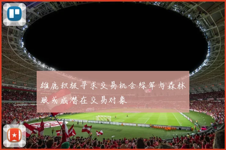 雄鹿积极寻求交易机会绿军与森林狼或成潜在交易对象